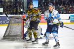 Photo hockey match Nantes - Marseille le 19/02/2022