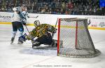 Photo hockey match Nantes - Marseille le 19/02/2022