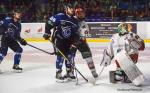 Photo hockey match Nantes - Mont-Blanc le 12/01/2019