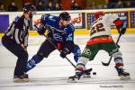 Photo hockey match Nantes - Mont-Blanc le 12/01/2019