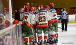 Photo hockey match Nantes - Mont-Blanc le 12/01/2019