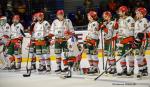 Photo hockey match Nantes - Mont-Blanc le 12/01/2019