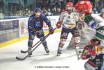 Photo hockey match Nantes - Mont-Blanc le 25/02/2023