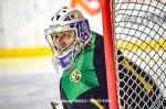 Photo hockey match Nantes - Mont-Blanc le 27/01/2024