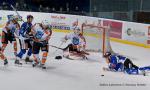 Photo hockey match Nantes - Montpellier  le 07/12/2013