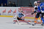 Photo hockey match Nantes - Montpellier  le 07/12/2013