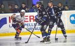 Photo hockey match Nantes - Montpellier  le 11/02/2023