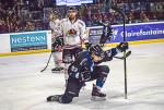 Photo hockey match Nantes - Morzine-Avoriaz le 19/11/2022