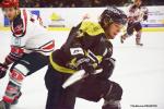 Photo hockey match Nantes - Neuilly/Marne le 09/12/2017