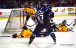 Photo hockey match Nantes - Strasbourg  le 26/10/2019