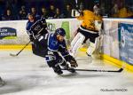 Photo hockey match Nantes - Strasbourg  le 26/10/2019