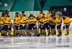 Photo hockey match Nantes - Strasbourg  le 17/10/2020