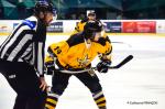 Photo hockey match Nantes - Strasbourg  le 17/10/2020