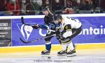 Photo hockey match Nantes - Strasbourg  le 05/02/2022