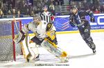 Photo hockey match Nantes - Strasbourg  le 18/01/2023