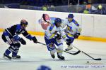 Photo hockey match Nantes - Wasquehal Lille le 12/03/2011