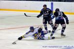 Photo hockey match Nantes - Wasquehal Lille le 12/03/2011