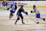 Photo hockey match Nantes - Wasquehal Lille le 12/03/2011