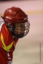 Photo hockey match Orlans - Wasquehal Lille le 28/01/2012