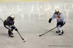 Photo hockey match Reims - Montpellier  le 30/03/2013