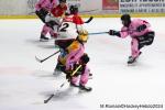 Photo hockey match Rouen - Amiens  le 25/10/2024