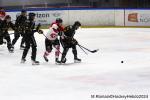 Photo hockey match Rouen - Amiens  le 28/12/2024