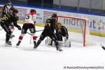 Photo hockey match Rouen - Amiens  le 28/12/2024