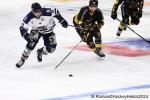 Photo hockey match Rouen - Angers  le 18/08/2024