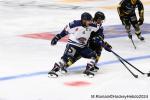 Photo hockey match Rouen - Angers  le 18/08/2024