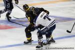 Photo hockey match Rouen - Angers  le 18/08/2024