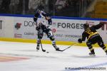 Photo hockey match Rouen - Angers  le 18/08/2024