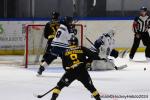 Photo hockey match Rouen - Angers  le 18/08/2024