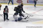 Photo hockey match Rouen - Angers  le 10/11/2024