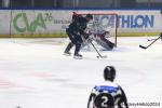 Photo hockey match Rouen - Angers  le 10/11/2024