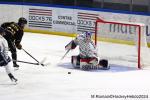 Photo hockey match Rouen - Angers  le 10/11/2024