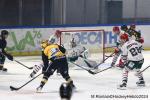 Photo hockey match Rouen - Anglet le 29/10/2024