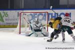 Photo hockey match Rouen - Anglet le 29/10/2024