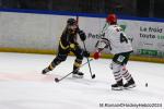 Photo hockey match Rouen - Anglet le 29/10/2024