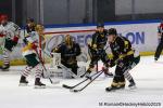 Photo hockey match Rouen - Anglet le 17/01/2025