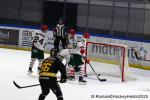 Photo hockey match Rouen - Anglet le 17/01/2025