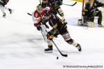 Photo hockey match Rouen - Bordeaux le 05/04/2024