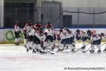 Photo hockey match Rouen - Bordeaux le 06/04/2024