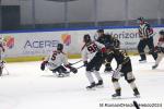 Photo hockey match Rouen - Bordeaux le 06/04/2024