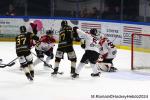 Photo hockey match Rouen - Bordeaux le 06/04/2024