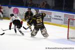 Photo hockey match Rouen - Bordeaux le 06/04/2024