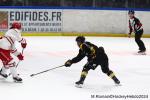 Photo hockey match Rouen - Brianon  le 08/11/2024