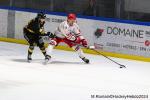 Photo hockey match Rouen - Brianon  le 08/11/2024