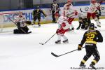 Photo hockey match Rouen - Brianon  le 06/12/2024