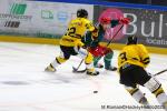 Photo hockey match Rouen - Cergy-Pontoise le 15/08/2023