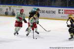 Photo hockey match Rouen - Cergy-Pontoise le 10/01/2025